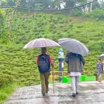 आज यी स्थानमा मेघगर्जन/चट्याङ/हावाहुरी सहित वर्षा